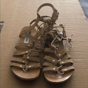 Steve Madden gladiator shoe